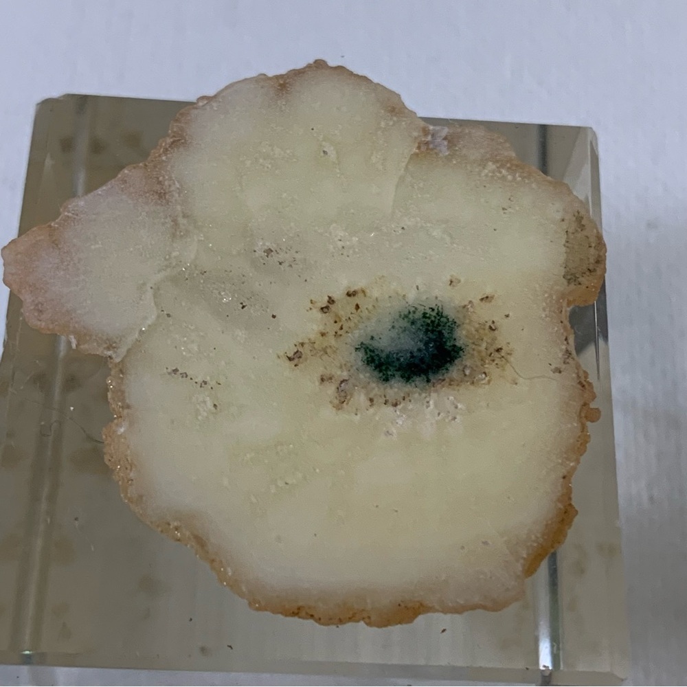Amethyst Crystal Stalactite Polished Slice Both Sides Las Torres Artigas Uruguay